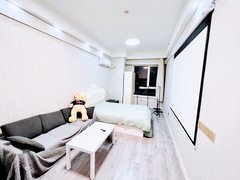 大连开发区杏花里万达广场现代风格南向温馨一室整租带投影仪灯光自带滤镜拎包入住出租房源真实图片