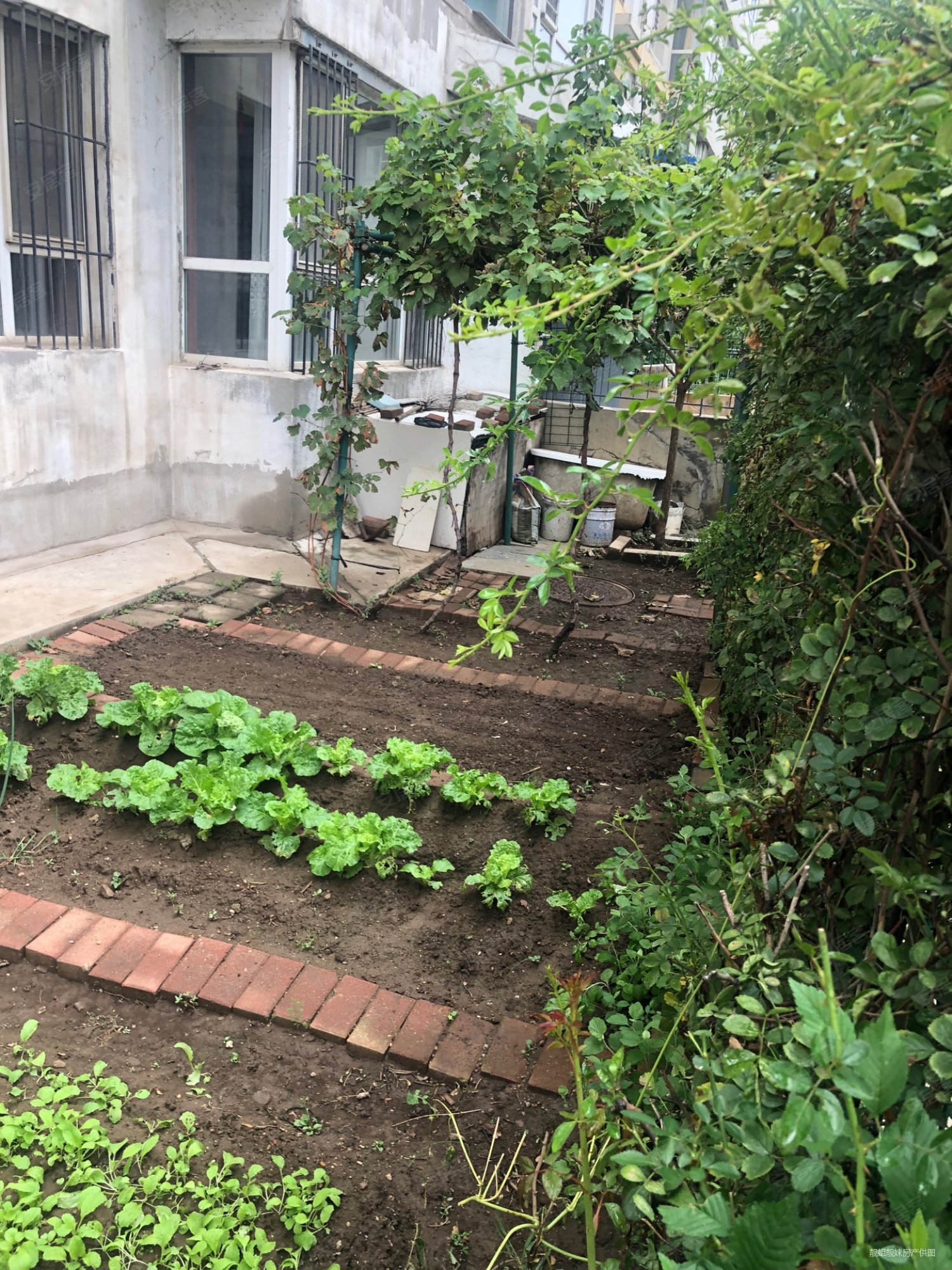 三利和平湾4室2厅2卫158.62㎡南北140万