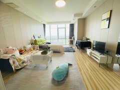 抱家公寓精装一室可短租优租宝带桥南地铁口近吴中商城龙湖天街