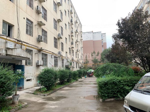 渭南临渭临渭周边阳光小区(临渭)实验中学旁边阳光小区两室一厅  1550