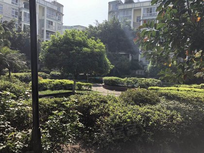 出水芙蓉,利通路99号 - 成都出水芙蓉二手房,租房,房价-成都安居客