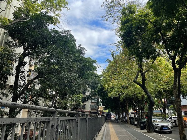 深圳福田园岭园岭新村红岭中学对面2房出租,看房有钥匙出租房源真实