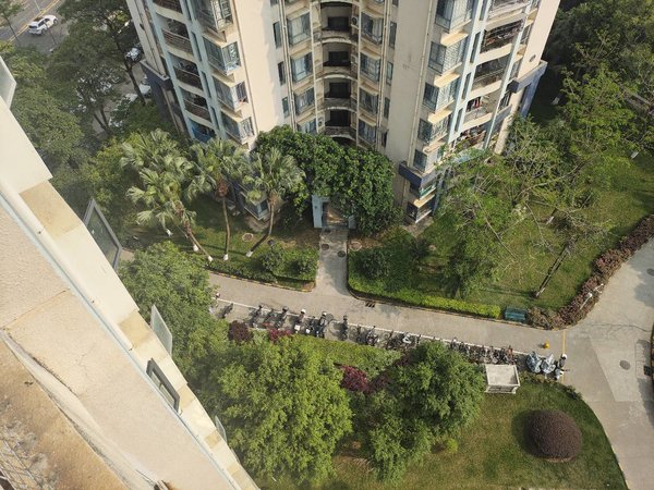 【多图】中城康桥花园(二期),康桥租房,便宜价石芽岭14号线花园社区