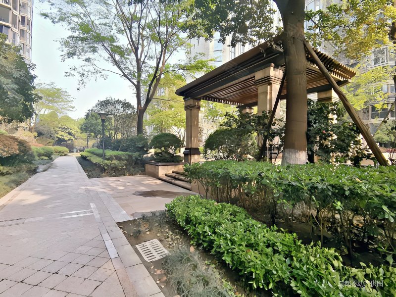 神仙树大院精装套四赠送超大入户南北通透中庭带车位