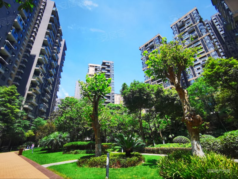 成都房产网>成都二手房>高新区二手房>大源二手房>华润凤凰城(一期)>