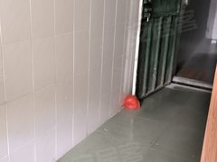阳江阳东G228 2室1厅1卫出租房源真实图片
