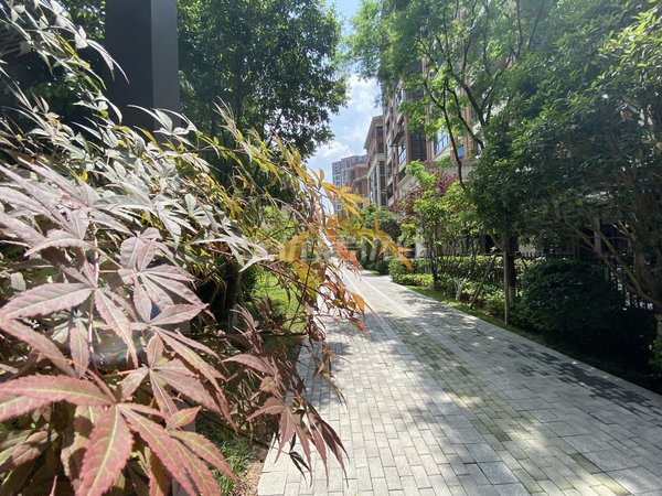 重庆北碚城南新区鲁能北渝星城鲁能北渝星城精装三房两卫出租出租房源