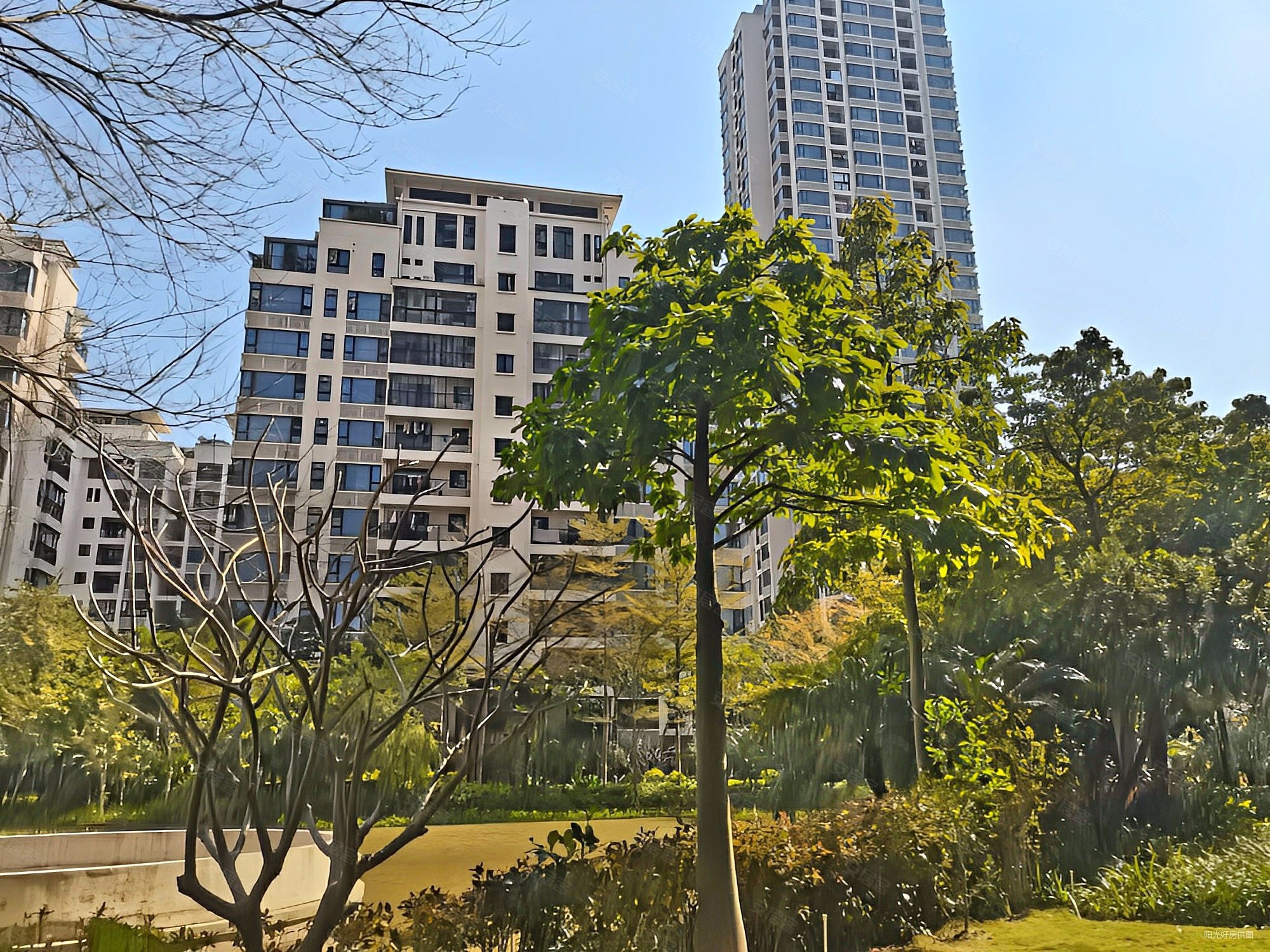 价格至笋华发四季看香山湖景观好欧式装实用31房有钥匙