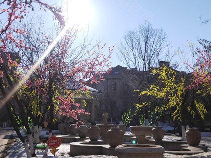 天茂凡尔赛庄园