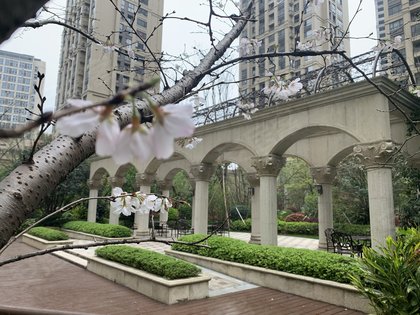 三江立体城揽江阁