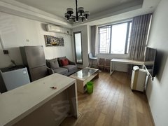 深圳布吉上水径赛格新城市广场 1室1厅1卫  电梯房 41平米出租房源真实图片