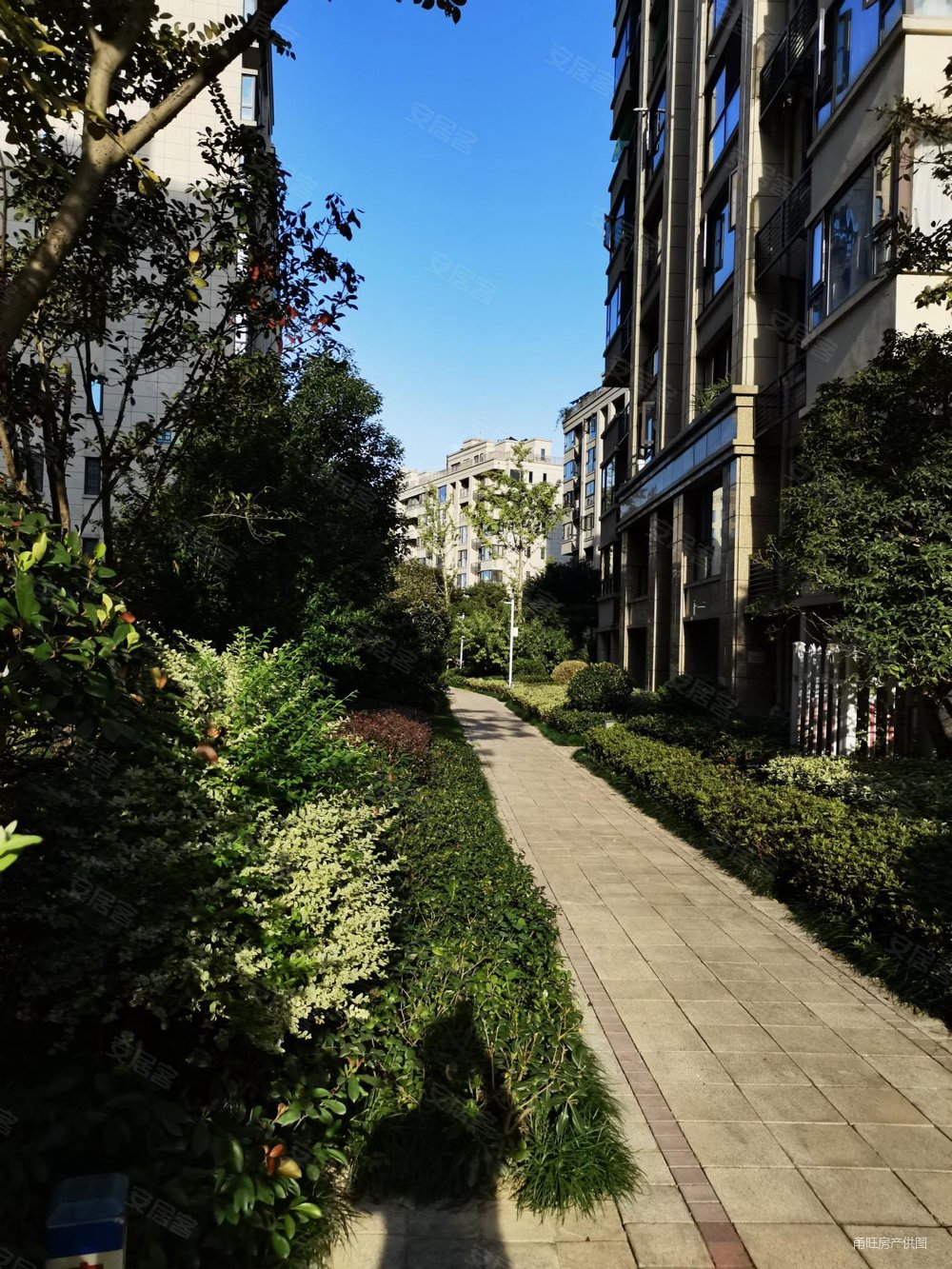 姚江晴雨 145平 四室两卫加储藏间 高标 680万