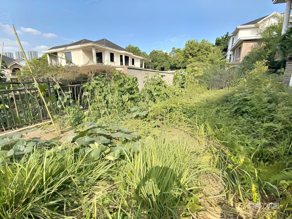 佰富高尔夫别墅二手房,730万,4室2厅,2卫,309平米-重庆安居客