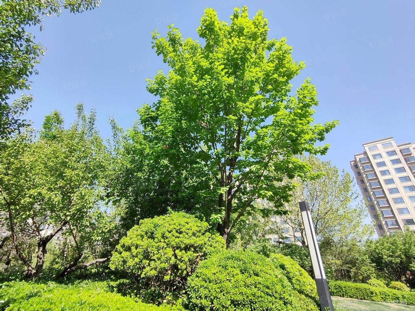 公园美景尽收眼底亦庄中海墅精装三居客厅双卧朝南采光视野好