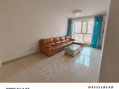 齐齐哈尔龙沙南站三合家园A区正一楼 一室两厅一卫 精装 拎包入住出租房源真实图片