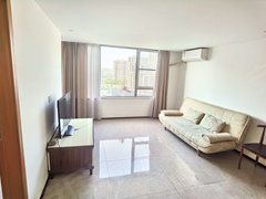 宁波海曙高桥城市方格精装复式公寓2室整租出租房源真实图片