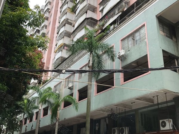 广州番禺市桥北华海大厦(番禺)华海大厦 电梯房 南向单位 3房2卫 位置