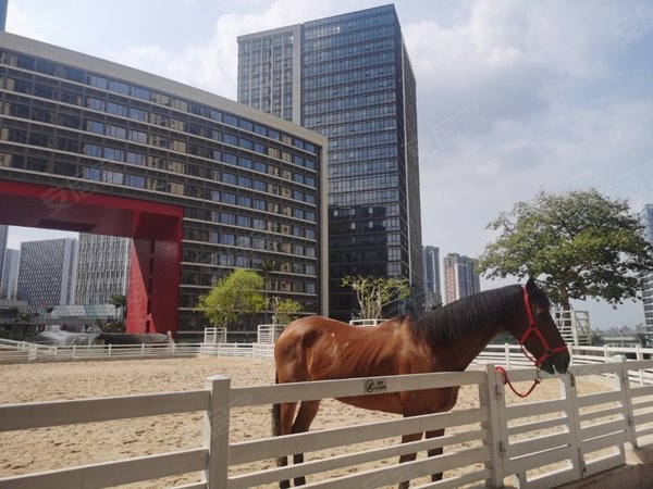 广州番禺南村镇四海城四海城 网红高档小区 南向采光 物业环境好 随时