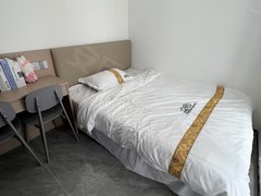 深圳光明公明薯田埔地铁站 精装电梯房 押一付一 拎包入住出租房源真实图片