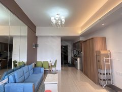 合肥政务奥体中心白领 大佬推荐 合柴1972 政务东 大融城出租房源真实图片