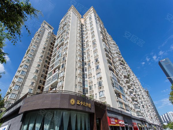 深圳南山后海观海台花园业主豪华装修,海岸城商圈,近中海油 腾讯 春笋