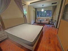 亳州谯城魏武广场威武广场 精装修公寓  拎包入住出租房源真实图片