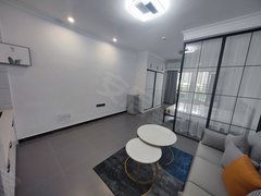 怀化鹤城城中月付榆园  新天地凯邦万象  火车站通程  昌顺广场  中环出租房源真实图片