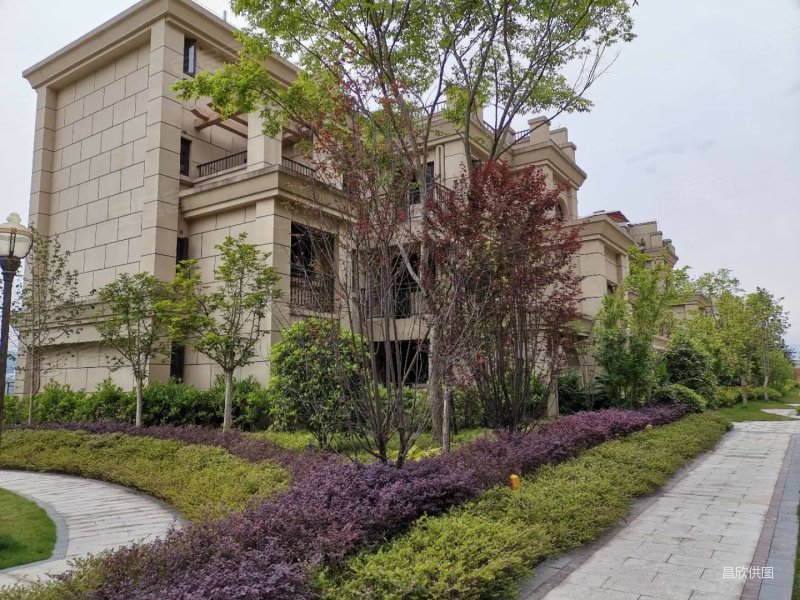 重庆房产网>重庆二手房>万州二手房>江南新区二手房>海成南滨上院(a区