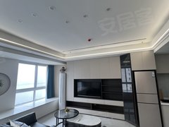 睢县城区睢县人民医院中央城市广场(睢县-商住楼) 1室1厅1卫 55平 精装修出租房源真实图片