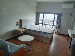 深圳龙岗坂田(整租)品牌连锁公寓 1房1厅 电梯精装 南北通透出租房源真实图片