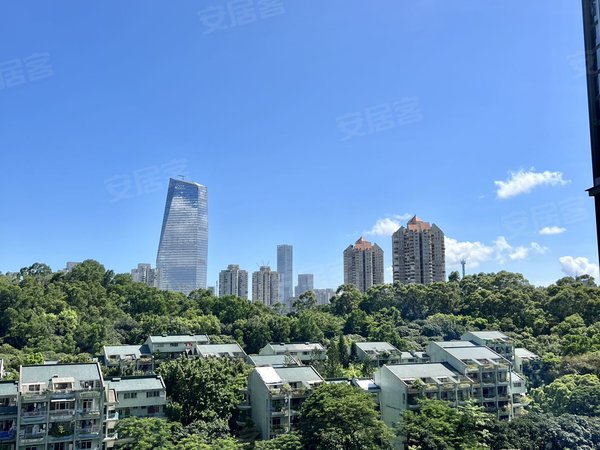 深圳南山华侨城新天鹅堡(三期)急租华侨城 次新豪宅 新天鹅湖花园三期