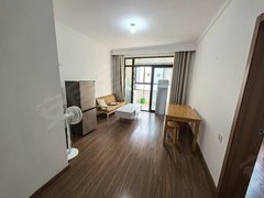 合肥新站陶冲湖简装洋房出租 四房配齐 价格便宜 专升本 京东方出租房源真实图片