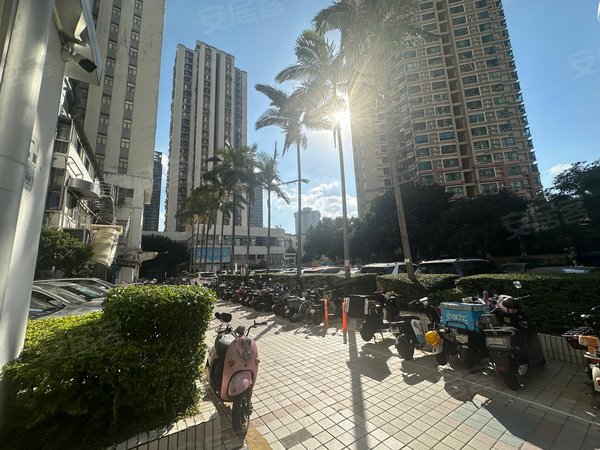 【多图】红岭大厦,上步租房,红岭大厦两房一厅出租,拎包入住,随时看房