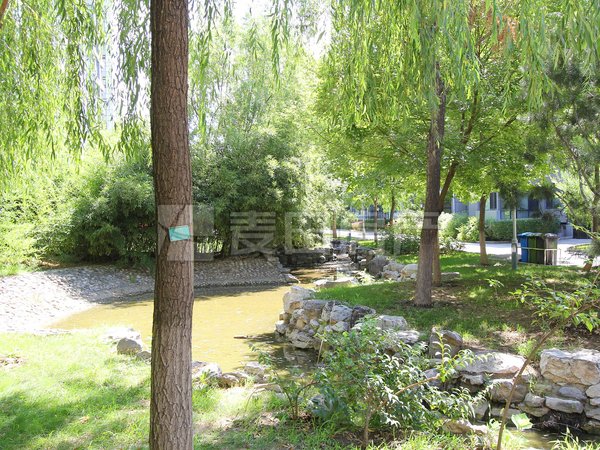北京海淀世纪城鲁艺上河村(一区)南北通透 3室2厅  鲁艺上河村(一区)