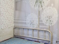 三门峡湖滨湖滨城区站里村小区 1室1厅1卫出租房源真实图片