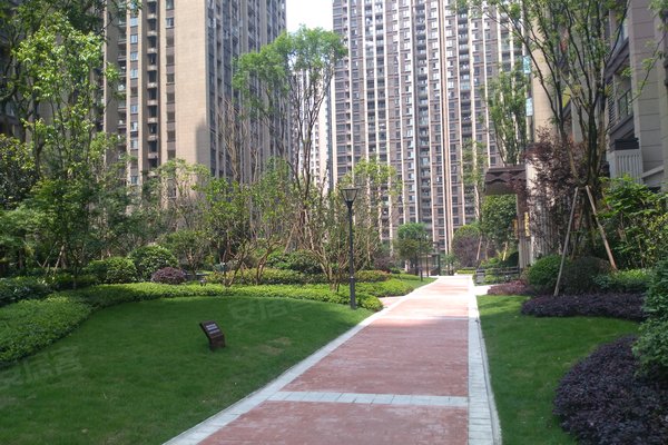 好不好_中介房产经纪人:尹元强对保利观塘泽园的评价-重庆安居客