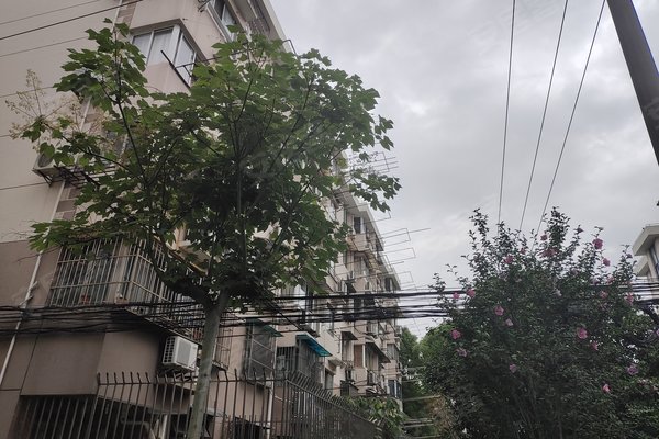 高兴花园二三四街坊