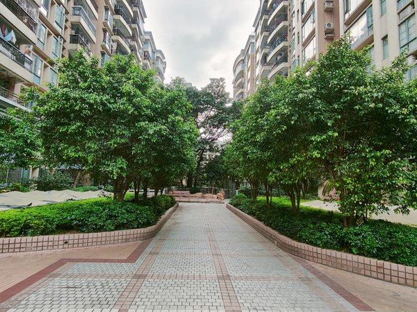 广州海珠新港西顺景雅苑中大地铁站,顺景雅苑精装3房2厅2卫,113平方租