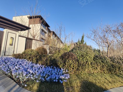 新城樾府(别墅),静湖南路,近中生大道-天津新城樾府(别墅)二手房,租房