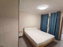 镇江京口桃花坞桃花坞五区 1室1厅1卫 南北通透 45平 精装修出租房源真实图片