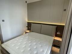 台江万达元洪城二十五中万科金域国际A单身公寓厅卧分离，壁柜