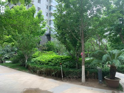天成金色堤岸,南滨河东路,近金昌北路 - 兰州天成金色堤岸二手房,租房