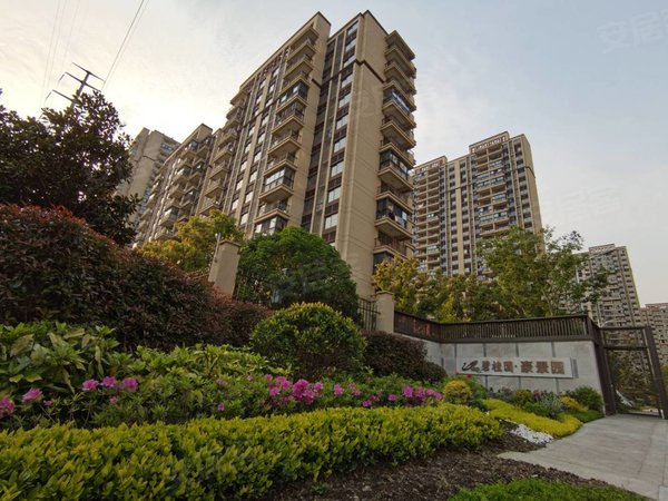 【多图】碧桂园世纪城(北区),千灯古镇租房,碧桂园精装大2房,拎包入住