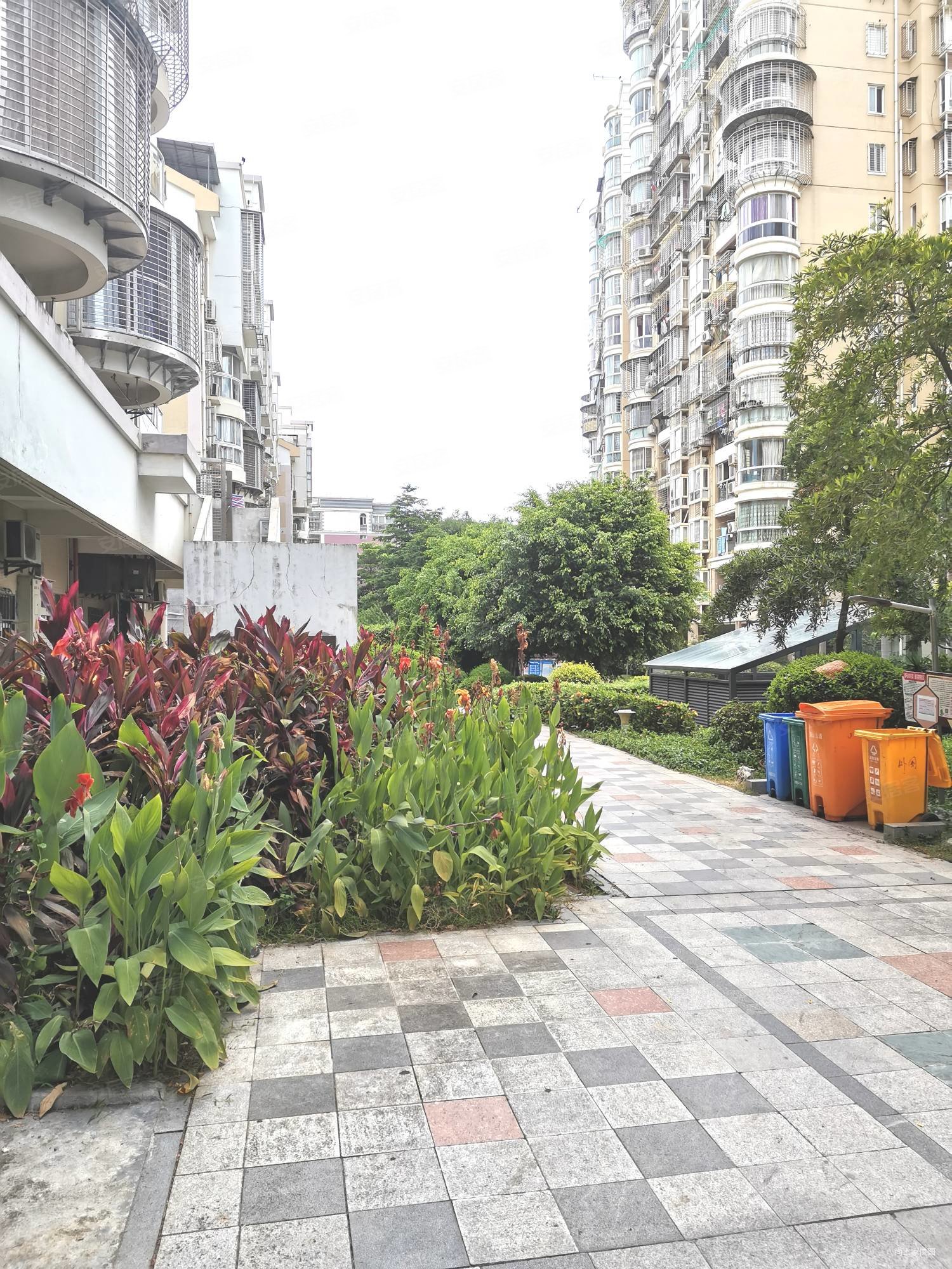 电梯花园小区 人车分流 大3房2厅2卫 南北全明 中庭,新莲花新龙山花园