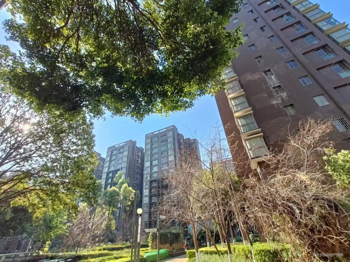 民航路香樟俊园2期3室诚心出售看房方便