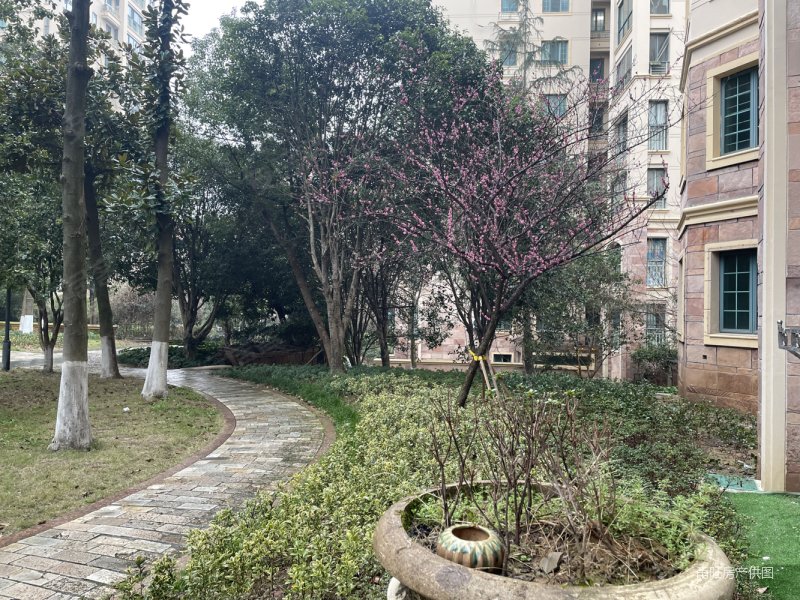 青林湾东区2651幢