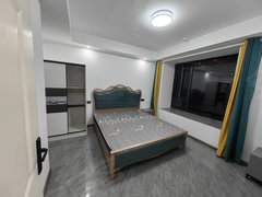中南樾府一室独立卫生间独立厨房出租