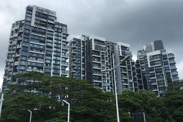 深圳小区 南山小区 科技园小区 岸芷汀兰 岸芷汀兰怎么样发布于2020年