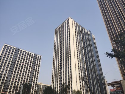 金科天宸六街区怎么样,好不好_中介房产经纪人:乔彦龙对金科天宸六