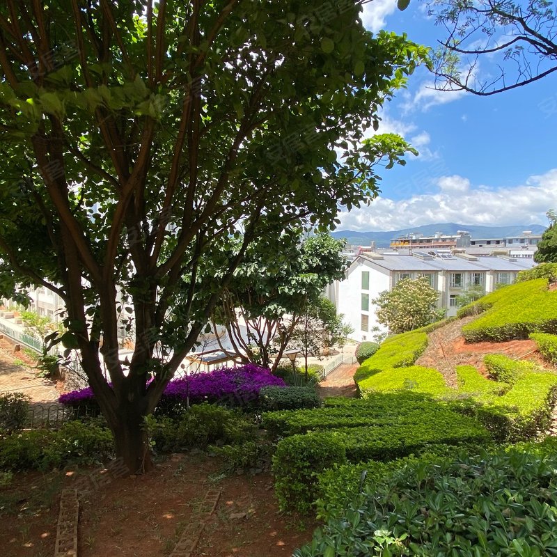 【龙山花园, 龙山花园小区详情,房价走势,房源,业主论坛】- 大理58